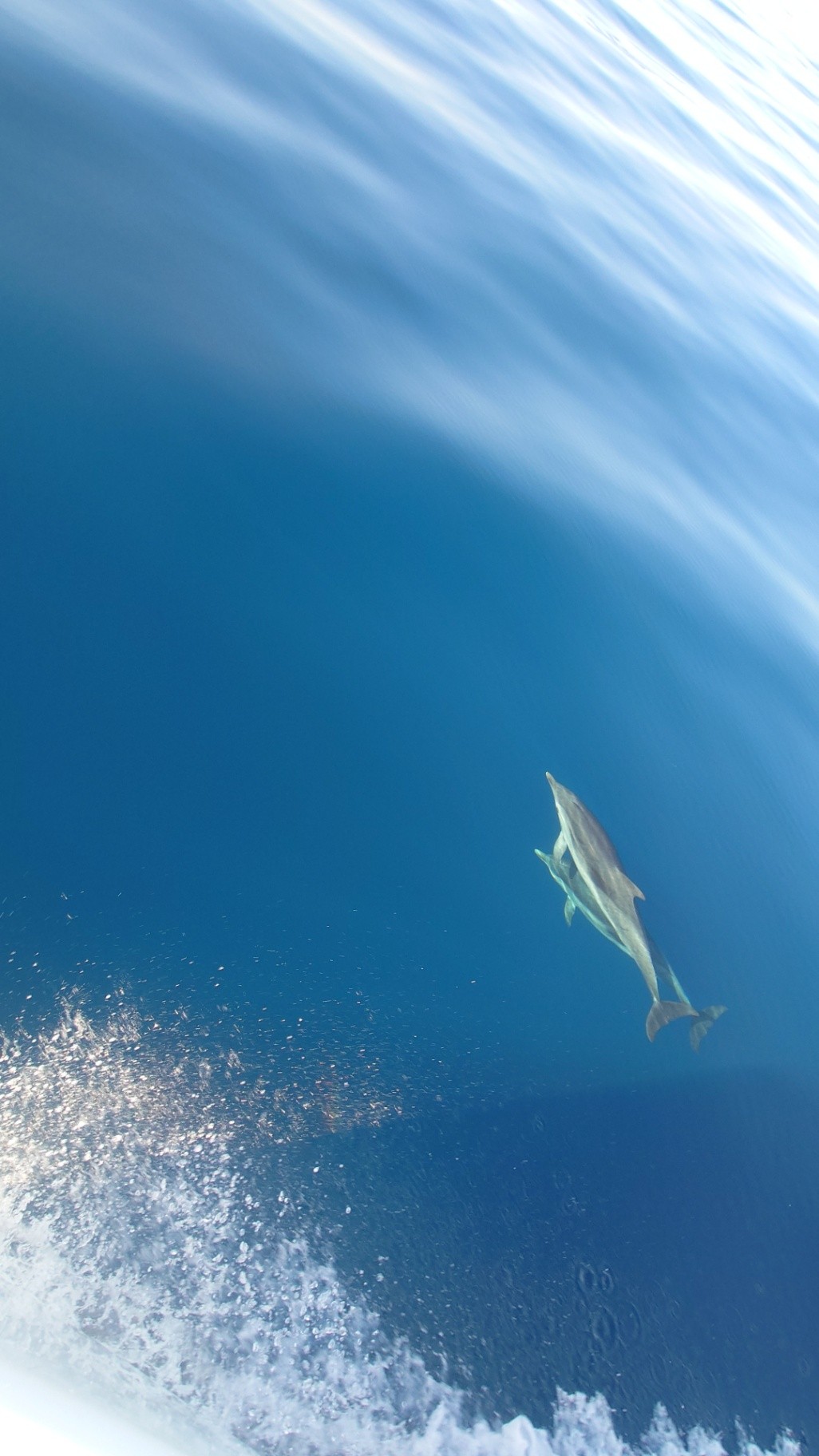 Wide Dream - Image 5 | Balearic Yacht Charters